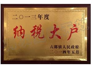 2013年納稅大戶