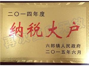 2015年納稅大戶