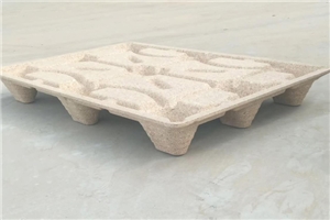 模壓托盤